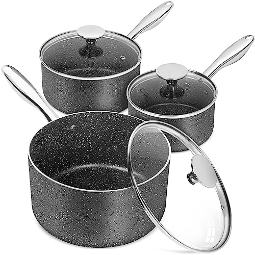 MICHELANGELO Sauce Pan with Lid