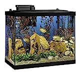 Tetra Aquarium Fish Tank Kit