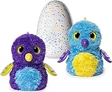 Hatchimals Glittering Garden - Hatching Egg - Interactive Creature – Shimmering Draggle by Spin Master