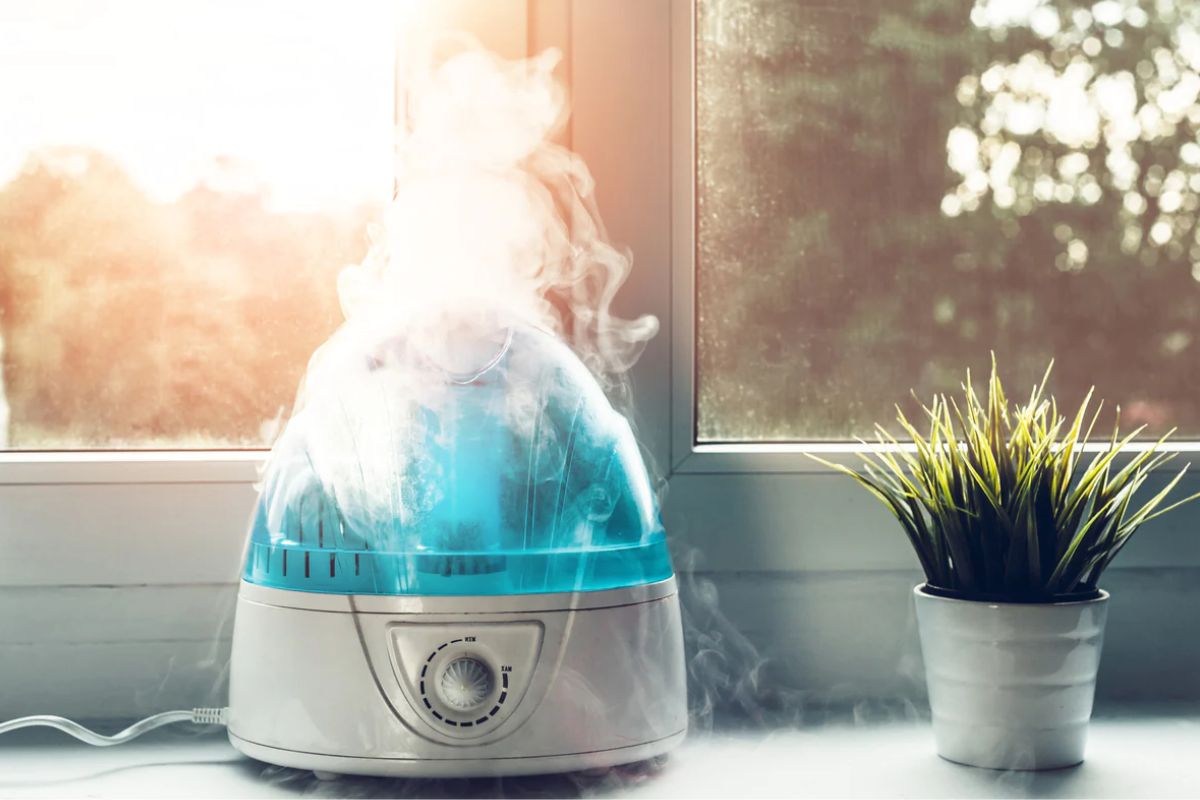 Humidifier Black Friday Sale